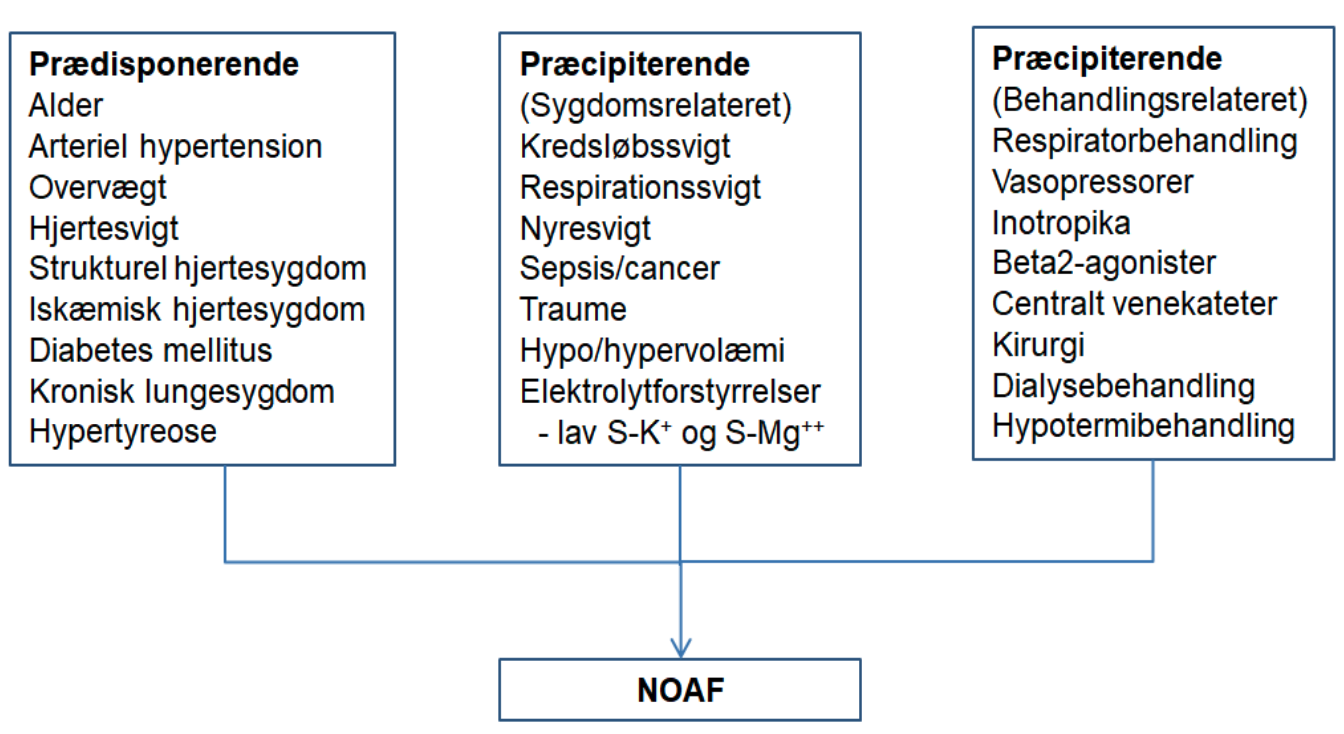 Figur 1. Risikofaktorer og tilstande associeret med atrieflimren